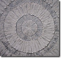 raggi d'argento tecnica mista 100x100